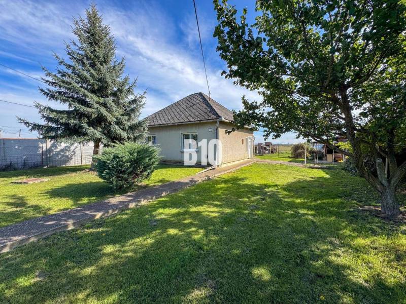 Rodinný dom s veľkým pozemkom (4641 m2)  - Ondrejovce - Rodinný dom v Ondrejovciach obklopený zeleným trávnikom a stromami v priestrannej záhrade.