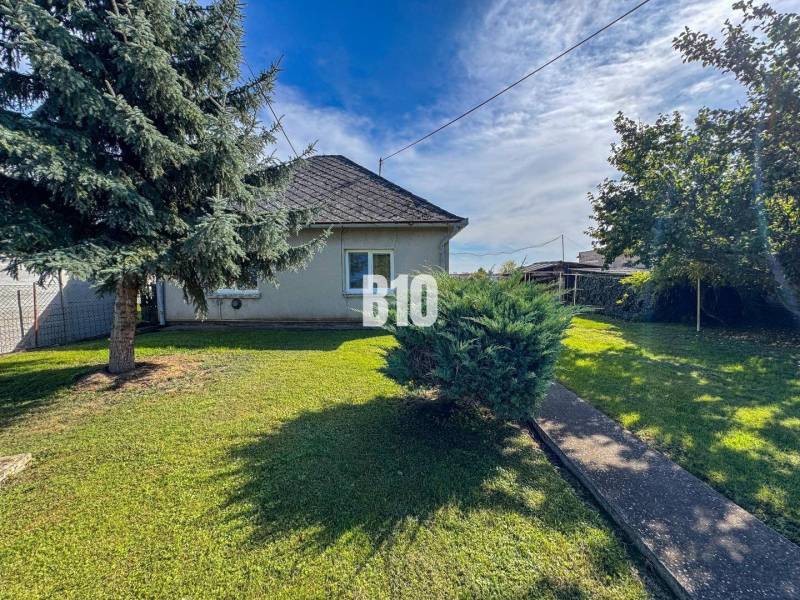 Rodinný dom s veľkým pozemkom (4641 m2)  - Ondrejovce - Rodinný dom v Ondrejovciach s trávnatou záhradou, dvoma stromami a kríkom pri chodníku.