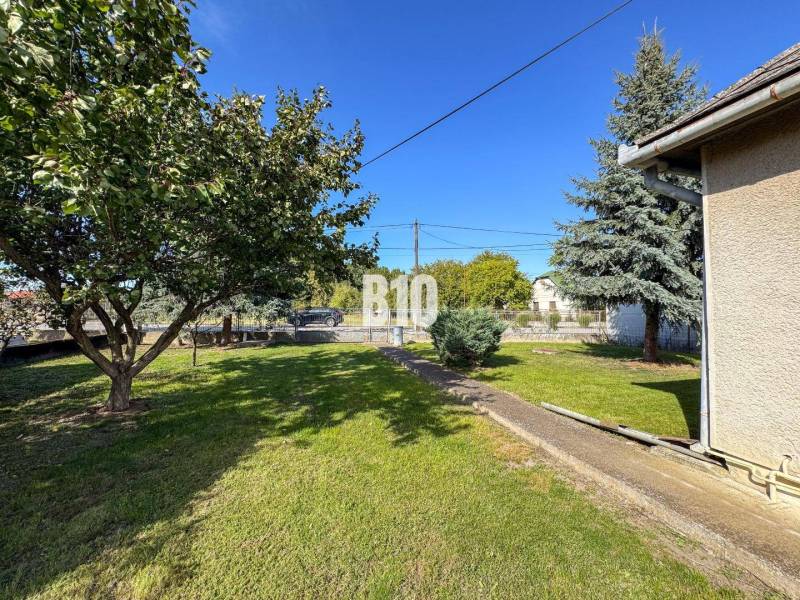 Rodinný dom s veľkým pozemkom (4641 m2)  - Ondrejovce - Záhrada pri rodinnom dome v Ondrejovciach s trávnikom, stromami a kríkmi.