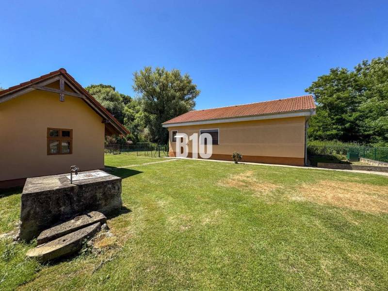 Rodinný dom s krásnym veľkým pozemkom ( stavebným) - Nové Sady - Dvor rodinného domu v Nových Sadoch s dvoma budovami a studňou, obklopený zeleňou.