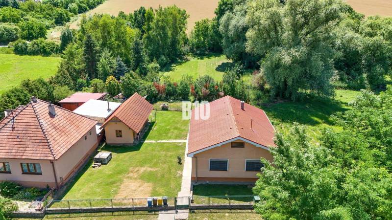 Rodinný dom s krásnym veľkým pozemkom ( stavebným) - Nové Sady - Rodinný dom v Nových Sadoch s veľkou záhradou a obklopený zeleňou.