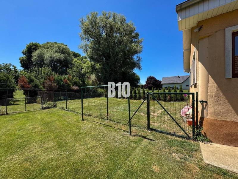 Rodinný dom s krásnym veľkým pozemkom ( stavebným) - Nové Sady - Záhrada rodinného domu v Nových Sadoch, oplotená trávnatá plocha, stromy a kríky.