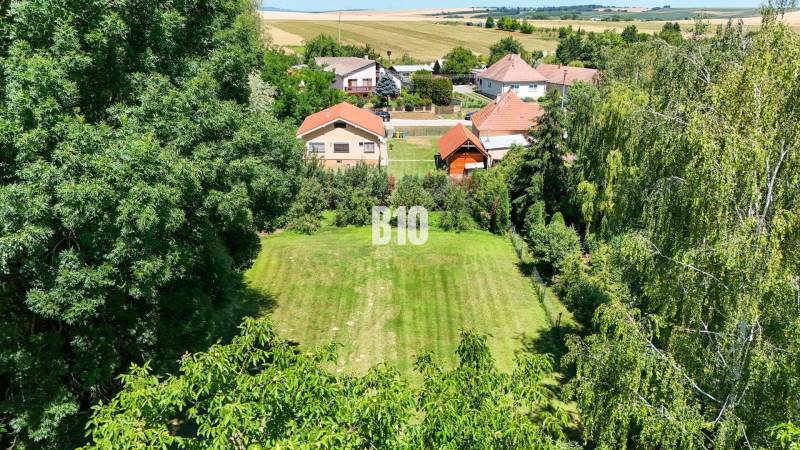 Rodinný dom s krásnym veľkým pozemkom ( stavebným) - Nové Sady - Záhrada obklopená zeleňou a rodinnými domami v Nových Sadoch.