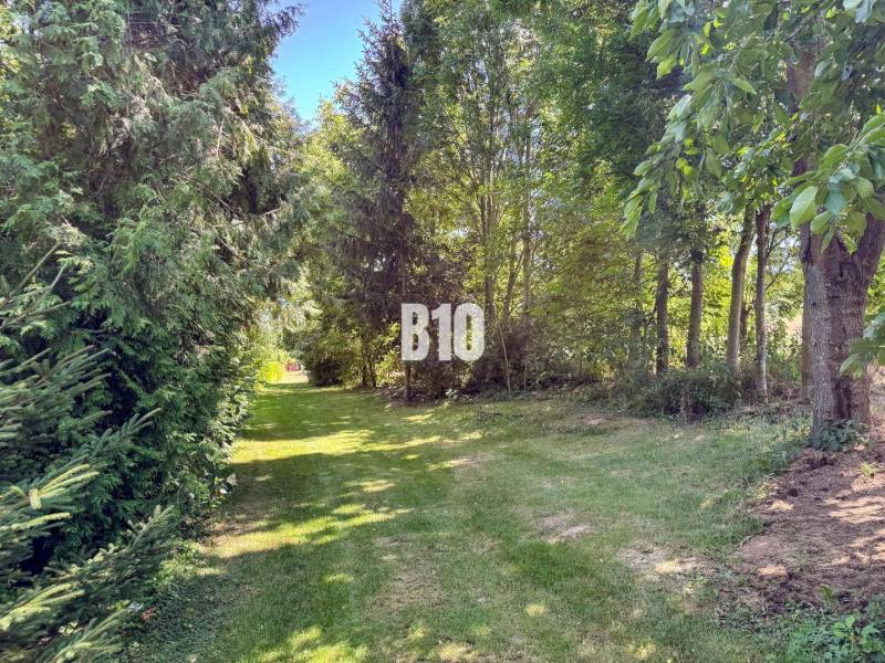 Rodinný dom s krásnym veľkým pozemkom ( stavebným) - Nové Sady - Záhrada pri rodinnom dome v Nových Sadoch obklopená stromami a trávnatým chodníkom.