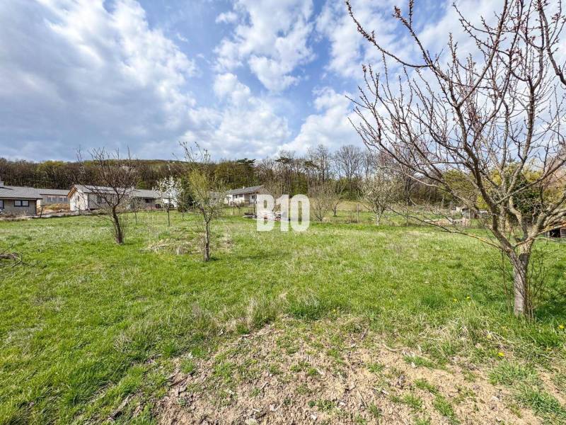 Jelenec  - Nádherný pozemok pri lese - 687 m2 - Pozemky - bývanie v Jelenci s ovocnými stromami a domami v pozadí pod modrou oblohou.