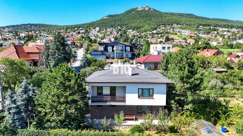 Rodinný dom s nádherným 8 árovým pozemkom na Kamennej ulici - Rodinný dom na Kamennej ulici v Nitre obklopený zeleňou a ďalšími domami.