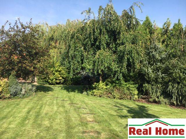 Dom s garážou na peknom rovinatom pozemku so šírkou 24m. - Záhrada pri rodinnom dome v Čiernej Vode, lemovaná stromami a upraveným trávnikom.
