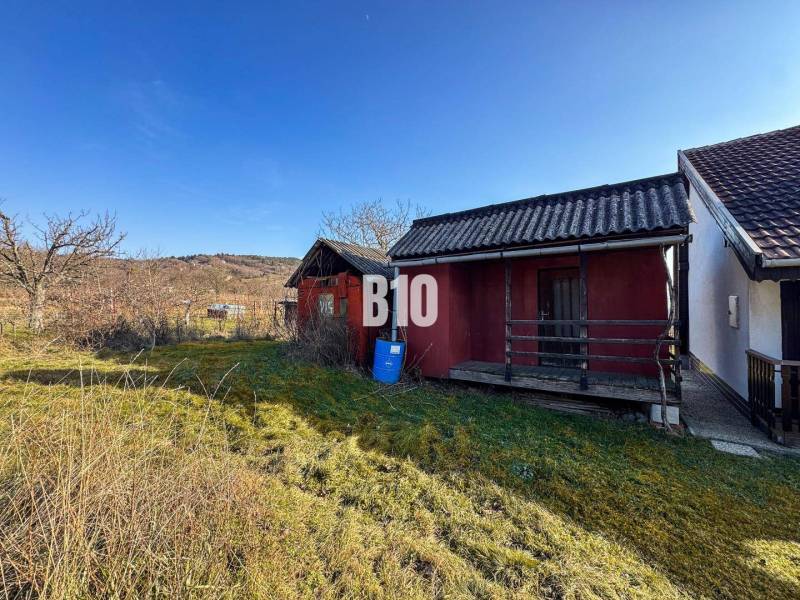 Na predaj  vinica v krásnej lokalite - 895 m2 - Nitra - Vidiecky domček a záhrady v Nitre počas slnečného dňa.