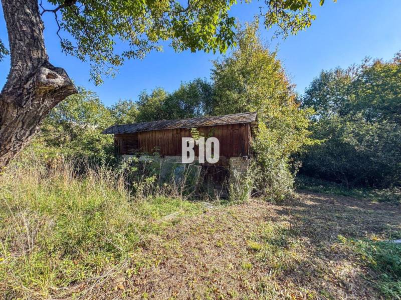 Glamping ? Chov dobytka ? - Usadlosť so 16 hektármi - Lackov - Chata v Lackove obklopená trávou a stromami počas slnečného dňa.