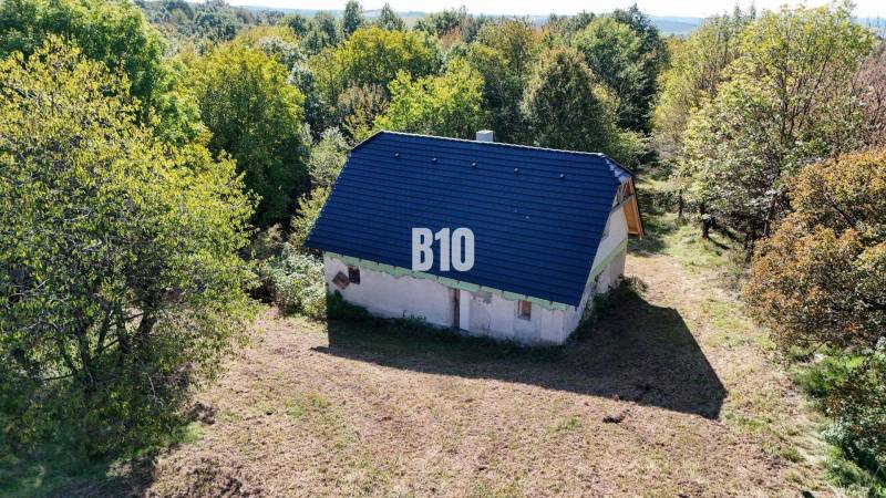 Glamping ? Chov dobytka ? - Usadlosť so 16 hektármi - Lackov - Chata v Lackove obklopená lesom poskytuje pokojné útočisko v prírode.