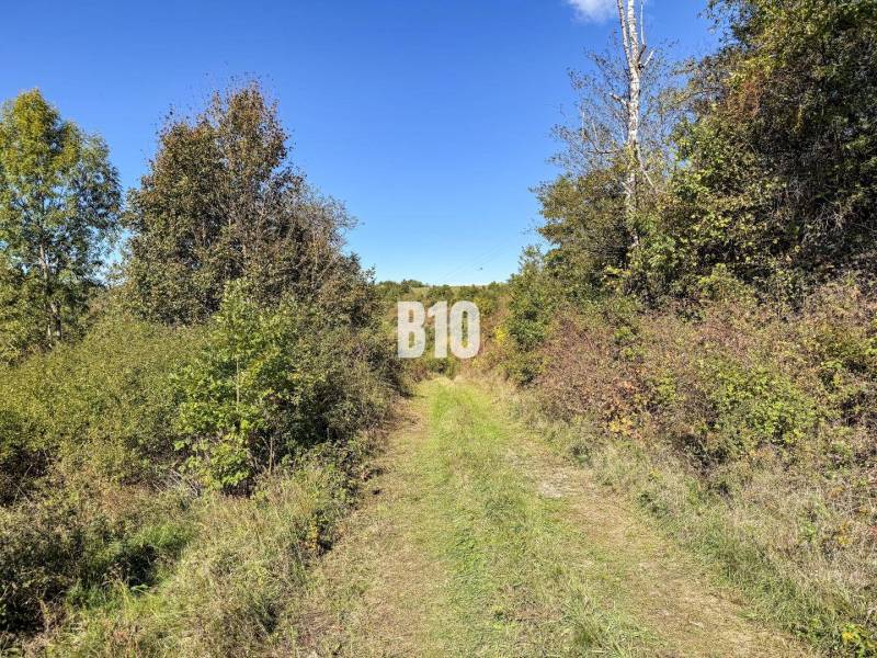 Glamping ? Chov dobytka ? - Usadlosť so 16 hektármi - Lackov - Chata v Lackove obklopená prírodou a zelenou cestičkou vedúcou k lesu.