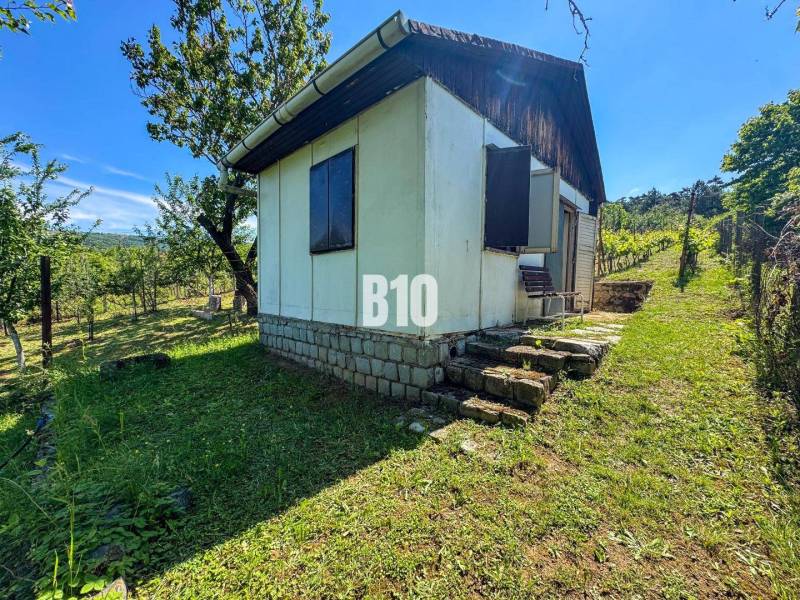 Vinica na skok od Nitry + chata - 590 m2 - Drevená chatka uprostred viníc v Nitre, obklopená zeleňou a stromami.