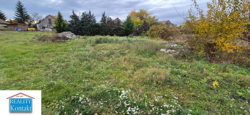 Znížená CENA- PREDAJ pozemok na výstavbu rodin.domu Tvrdošovce 1815m2 - Zeleň na pozemku určenom na bývanie v Tvrdošovciach, s domami a stromami v pozadí.