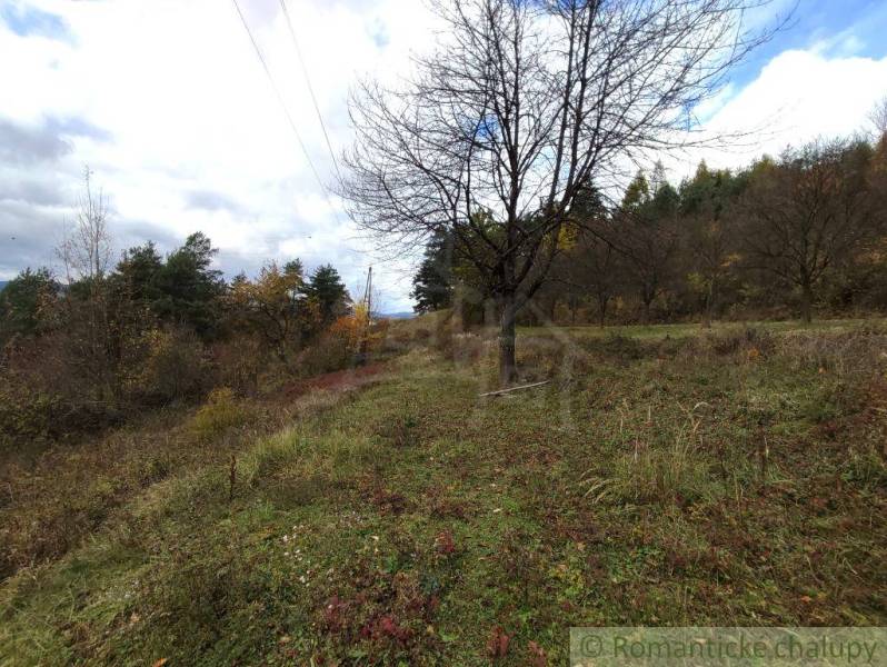 Dva pozemky nad obcou Hlboké nad Váhom, v lone nádhernej prírody, na p - Jeseň v prírodnej záhrade v Hlbokom nad Váhom, s rozmanitými stromami a trávou.