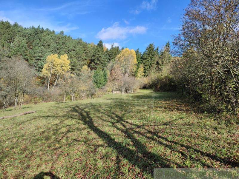 Pozemok s nádherným výhľadom pri Bytči na predaj! - Rozmanité stromy a zelená tráva v Záhradách pri Hlbokom nad Váhom pod modrou oblohou.