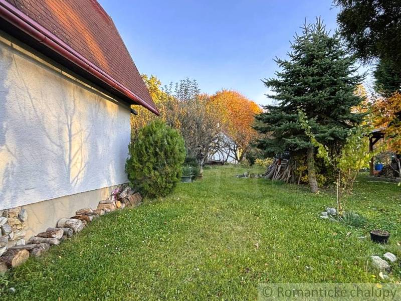 Záhrada s chatkou pod Malými Karpatami, Sološnica - Jeseň v Sološnici pri chate, obklopené zeleňou a ihličnanmi.