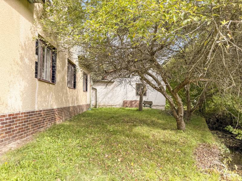 5i RD s garážou, Čierna Lehota, okr. Bánovce n./B. - Rodinný dom v Čiernej Lehote s trávnikom a stromami okolo domu.