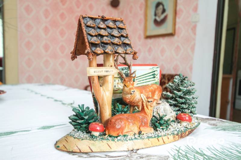 5i RD s garážou, Čierna Lehota, okr. Bánovce n./B. - Dekorácia s jeleňmi na stole v interiéri rodinného domu s ozdobnou tapetou.