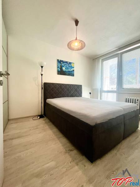 PRENÁJOM- Pekný 3 - izbový byt - Košice Staré mesto - Spálňa s manželskou posteľou, obrazom a stojacou lampou v 3-izbovom byte.