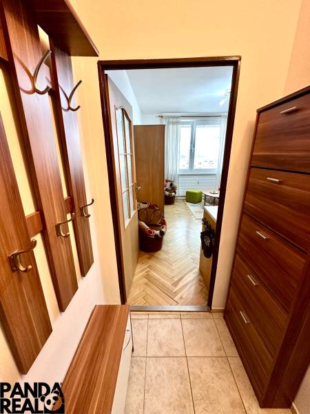 GARSONKA NA PRENÁJOM – VOĽNÁ IHNEĎ (sídlisko Východ) - Garsónka s predsieňou a podlahou s dreveným dekorom, pohľad do hlavnej miestnosti.