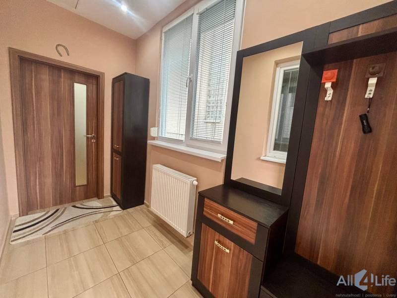 PRENÁJOM - Útulný 1-izbový domček na Hlbokej ulici - Predsieň 1-izbového bytu s podlahou s dreveným dekorom a nábytkom pri stene.