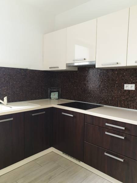 PRENÁJOM - Byt s krásnym výhľadom - Nitra, Dolnohorská - Kuchyňa v 2-izbovom byte s tmavými skrinkami a dlaždicovým obkladom.