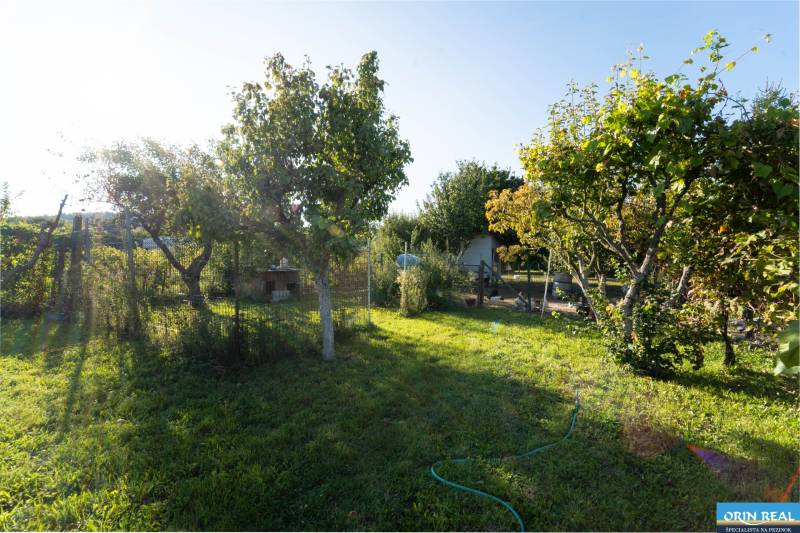 Na predaj rodinný dom s rozľahlým pozemkom 1788m2 MODRA - Záhrada a stromy pri rodinnom dome na Podhorskej ulici v Modre.