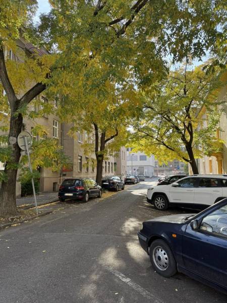 Novinka: Praktický byt v širšom centre. Mestská ul. Províziu neplatíte - Ulica Mestská v Bratislave - Novom Meste, lemovaná stromami a zaparkovanými autami.