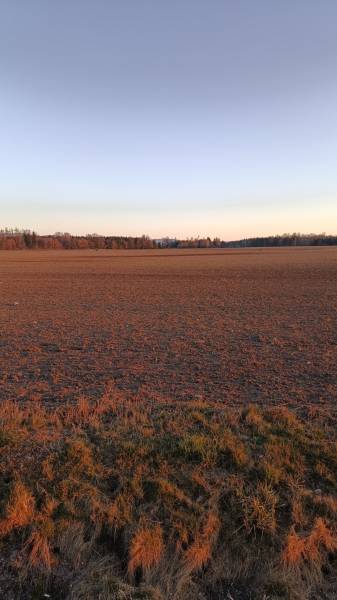 Turčianske Teplice - Diviaky - Orná pôda s výmerou 5571 m2 - Plocha pole za úsvitu, na ulici Prievidzká, pozemky - komerčné, s lesným pozadím.