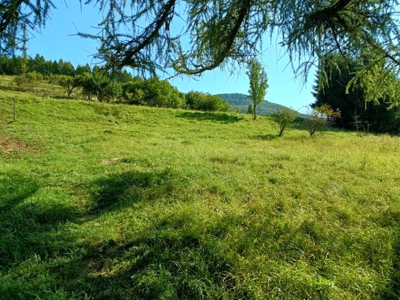 STAVEBNÝ POZEMOK - vo výmere 1036 m2 v obci Vrícko okr. Martin - Zelená lúka obklopená stromami vo Vrícku, ideálna pre pozemky - bývanie.