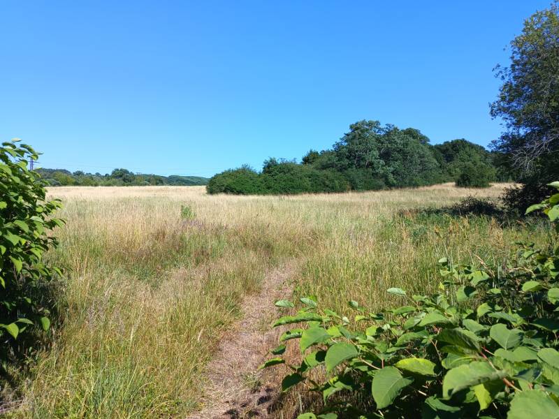 INVESTIČNÝ POZEMOK - Prievidza - Pozemky - bývanie v Prievidzi so zeleňou a lúčnou cestou pod modrou oblohou.