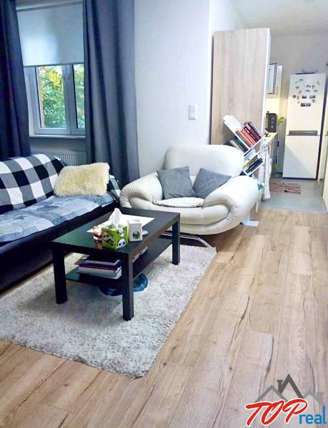 PRENÁJOM - 1,5 izbový byt Košice - Staré mesto - Obývacia izba v 1-izbovom byte s podlahou s dreveným dekorom a pohodlným sedením.