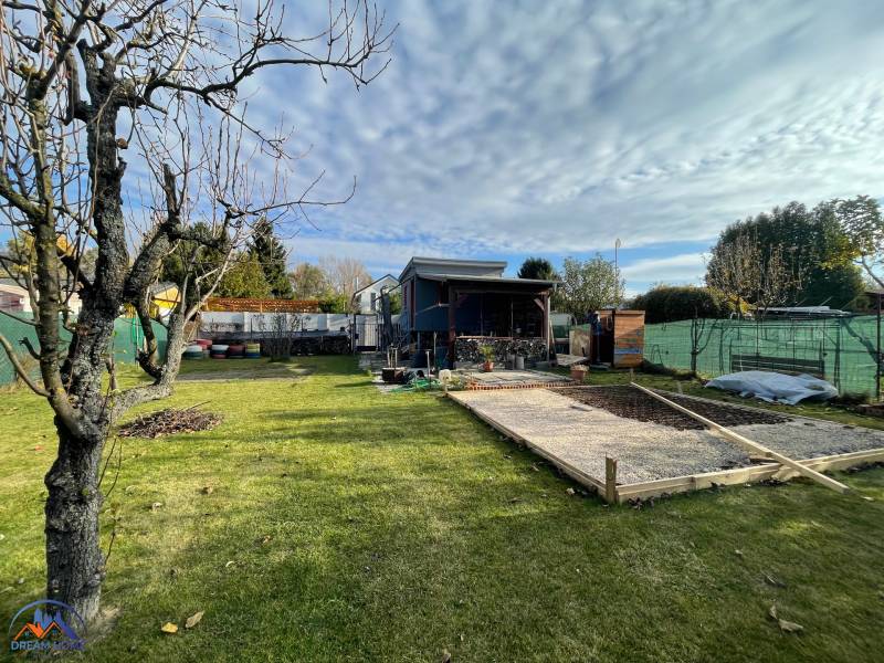  MH280- Na predaj krásna záhrada s chatkou v Komárne! - Záhrada pri chate na Novej osade v Komárne so stromom a trávnikom.