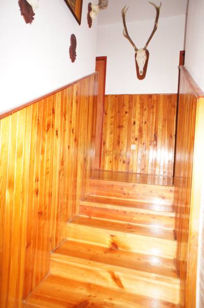 Rodinný dom v obci Čilížska Radváň s veľkým pozemkom - Drevené schody s obložením v rodinnom dome, ozdobené trofejami na stenách.