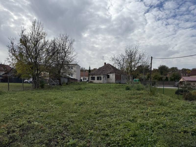 Novinka: Ponuka pre investorov: 4 stavebné pozemky s úz.rozhodnutím. - Pozemky - bývanie v Budmericiach, tráva a stromy v obytnej štvrti.