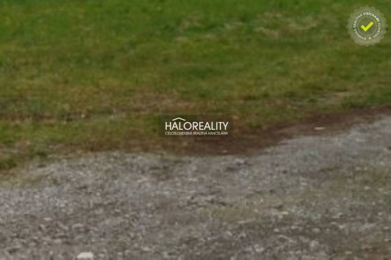 Predaj, pozemok pre rodinný dom   750 m2 Dulova Ves - Zeleň na pozemku v Dulovej Vsi určenom na bývanie.