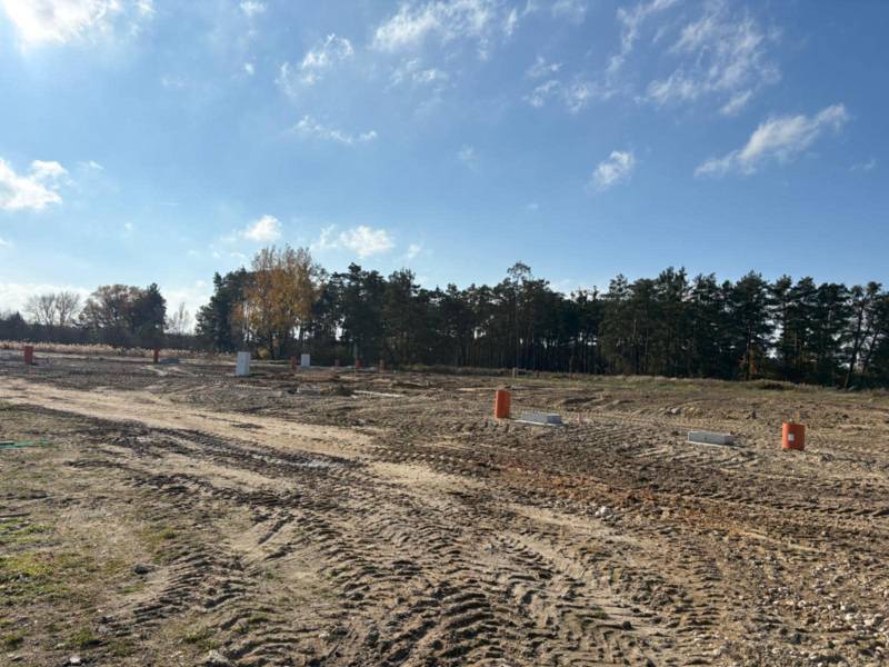 Stavebný pozemok na predaj - Studienka. - Pozemky na bývanie na ulici Pod Borovicou v Studienke obklopené stromami a modrou oblohou.