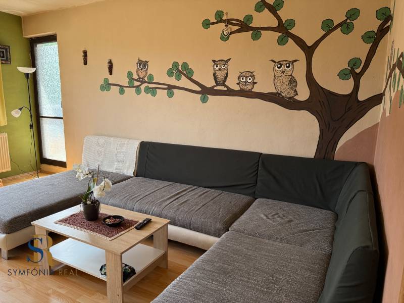 5-izbový rodinný dom v Borskom Mikuláši - bez rezervačej zálohy - Obývačka s maľbou sov, sedačkou a podlahou s dreveným dekorom v rodinnom dome.