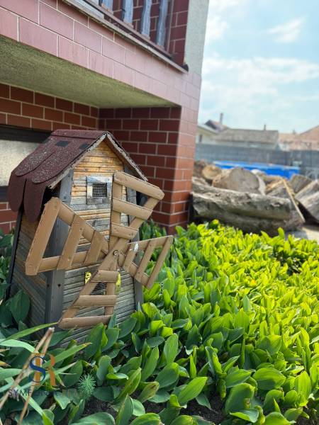 5-izbový rodinný dom v Borskom Mikuláši - bez rezervačej zálohy - Malý drevený mlyn v záhrade rodinného domu v Borskom Mikuláši s okrasnými rastlinami.