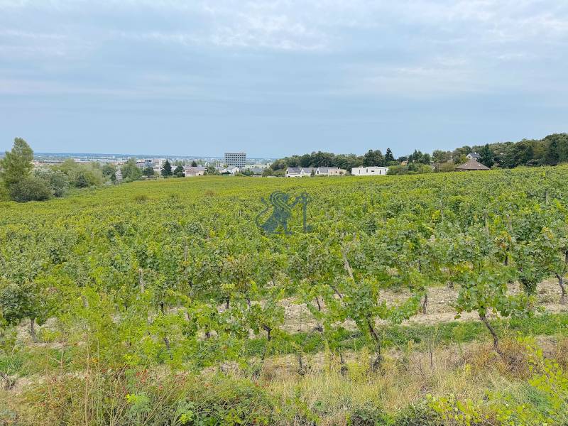 NA PREDAJ 5i rekreačný RD | Pekná cesta | Lesopark Rača  - Vinice v Bratislave - Rači pri Peknej ceste s výhľadom na okolitú krajinu.