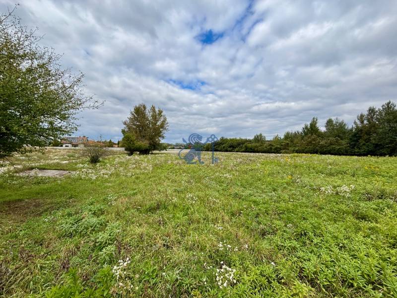 Na PREDAJ | investičný pozemok | Rusovce | výborná poloha - Zeleň a stromy na developerských pozemkoch v Bratislave - Rusovciach, Pri Pieskovom Hone.