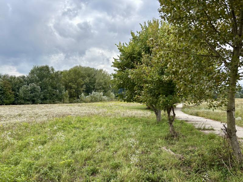 Na PREDAJ | investičný pozemok | Rusovce | výborná poloha - Developerské pozemky v Bratislave - Rusovciach na ulici Pri Pieskovom Hone s chodníkom a zeleňou.