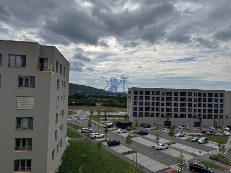Nový 2-izbový byt na prenájom - Bory - Pohľad na sídlisko v Bratislave, Devínska Nová Ves na Michala Bučiča, obklopené zeleňou.
