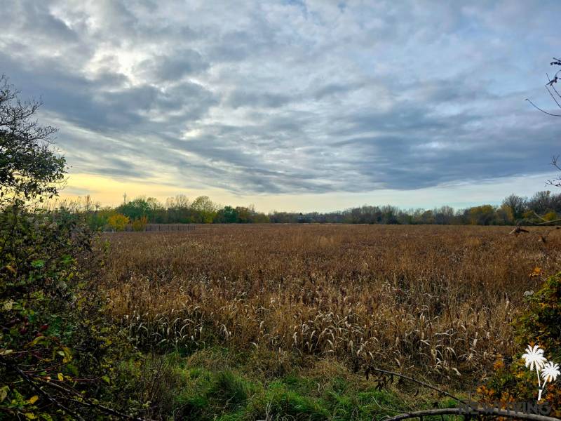 *Investičný pozemok* Moravany nad Váhom - Krajina s poliami pri Moravanoch nad Váhom na ulici Na Výhone, kategória Pozemky - bývanie.