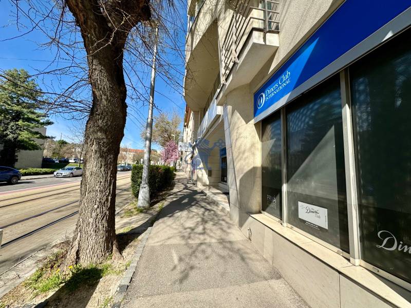 Obchodno- kancelársky priestor s výkladom na Nám. slobody - Na ulici Námestie slobody sú obchodné priestory s výkladmi a stromami popri trase.