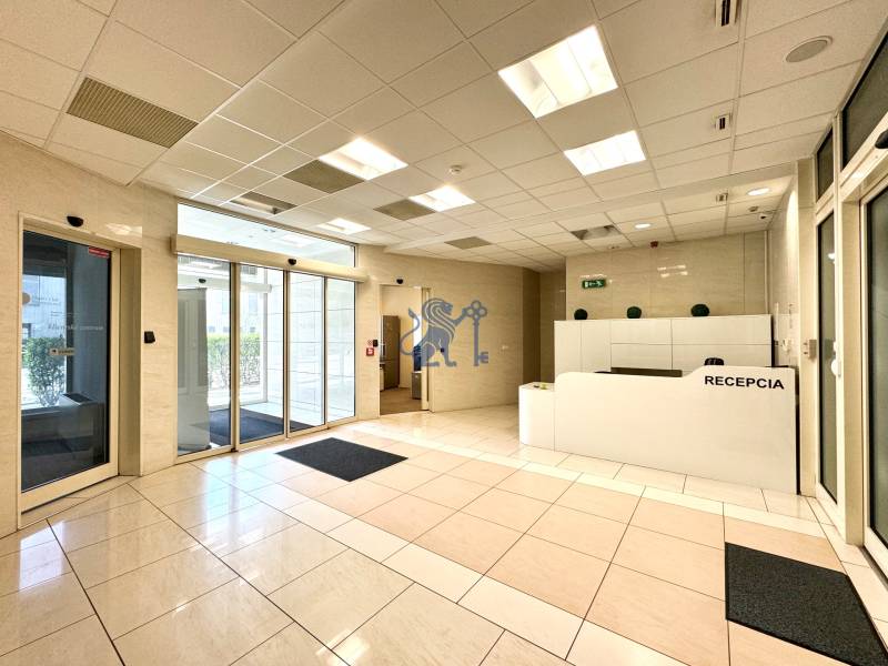 Obchodno- kancelársky priestor s výkladom na Nám. slobody - Recepcia na ulici Námestie slobody, obchodné priestory s presklenými dverami a svetlou podlahou.