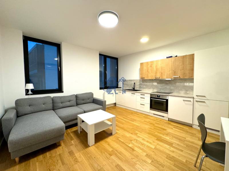 Budova s 8 apartmánmi alebo medicínske centrum, 9 park. miest- Koliba - Obývačka s kuchyňou, sivá sedačka, drevená podlaha, na ulici Na varte.