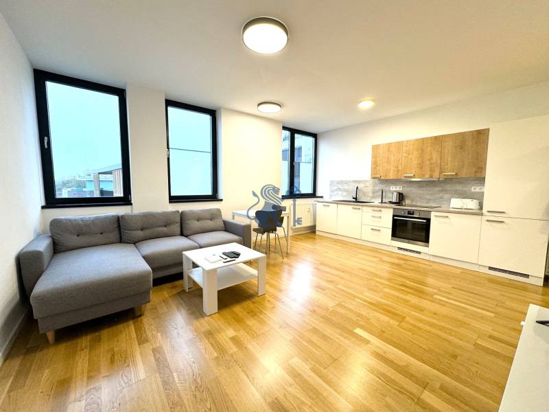 Budova s 8 apartmánmi alebo medicínske centrum, 9 park. miest- Koliba - Priestranný obývací priestor s kuchyňou, drevená podlaha, veľké okná, nábytok.