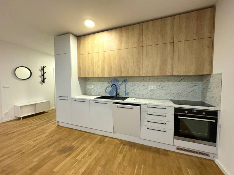 Budova s 8 apartmánmi alebo medicínske centrum, 9 park. miest- Koliba - Kuchyňa s drevenými skrinkami, bielymi spotrebičmi a vzorovanou stenou, na ulici Na varte.