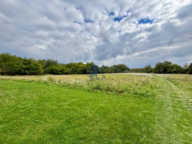 GRAVITAS | Na PREDAJ | rekreačný developerský pozemok | Rusovce - Developerské pozemky v Bratislave - Rusovciach na ulici Pri Pieskovom Hone, trávnatá plocha.